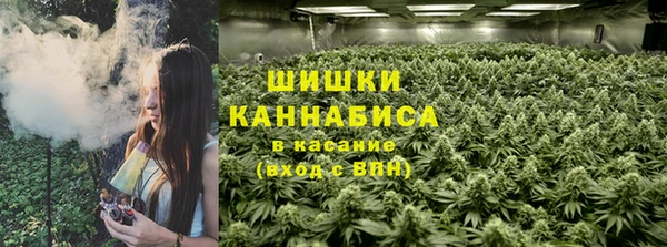 тгк Армянск