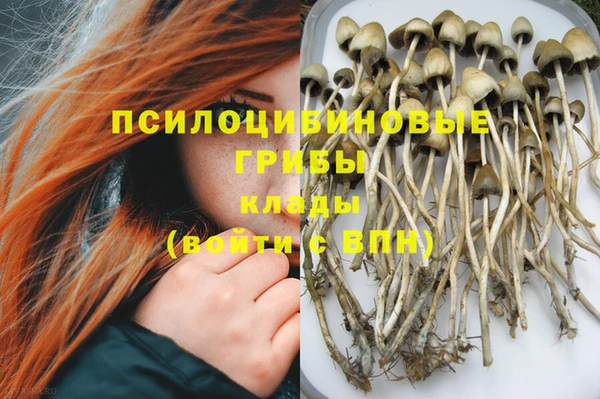 бошки Алзамай