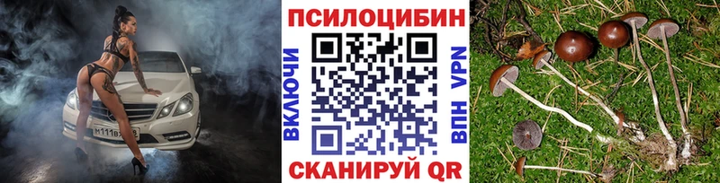 Псилоцибиновые грибы GOLDEN TEACHER  цены наркотик  Верхнеуральск 